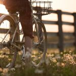 Da Ferrara al mare | Percorsi ciclistici in Romagna