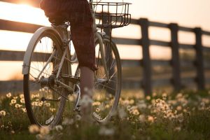 Da Ferrara al mare | Percorsi ciclistici in Romagna